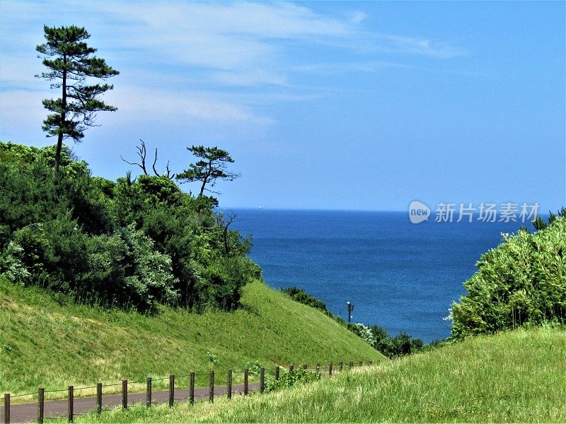 日本。通往大海的路。