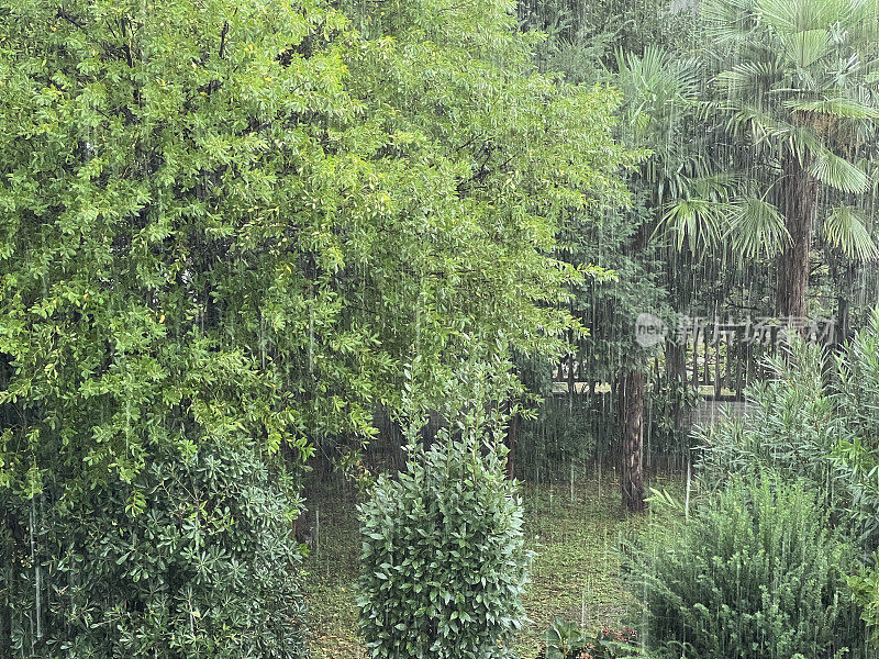 在下雨的一天