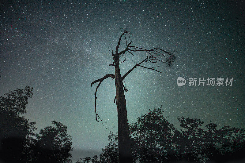 星空，银河，星迹