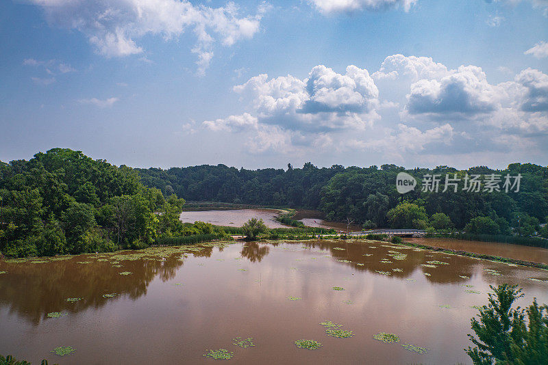 自然景观-伯灵顿湾周围浅水沼泽地上的人行天桥