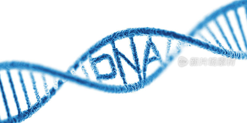 DNA。隔离在白色背景宽