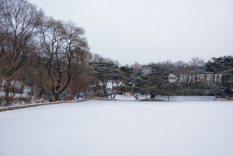 首尔的下雪天