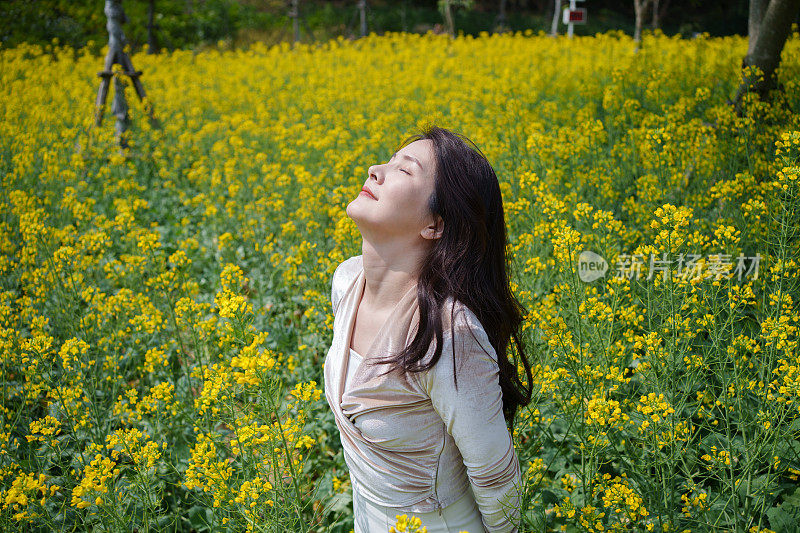 美丽的女人在油菜花的海洋里