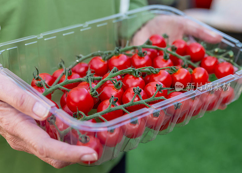 一个女人拿着一个装着西红柿的塑料容器