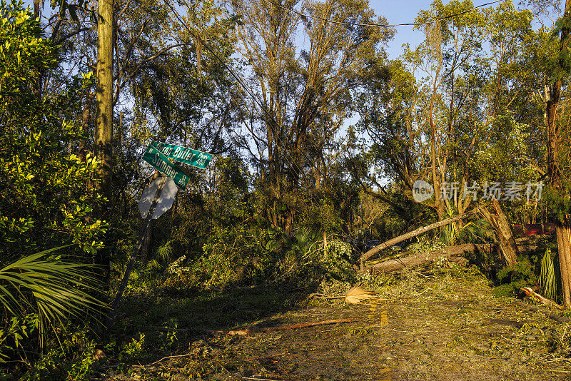 飓风过后，道路变成了小树林。倒下的树木和瓦砾覆盖了小镇的道路。风暴过后，北佛罗里达佩里