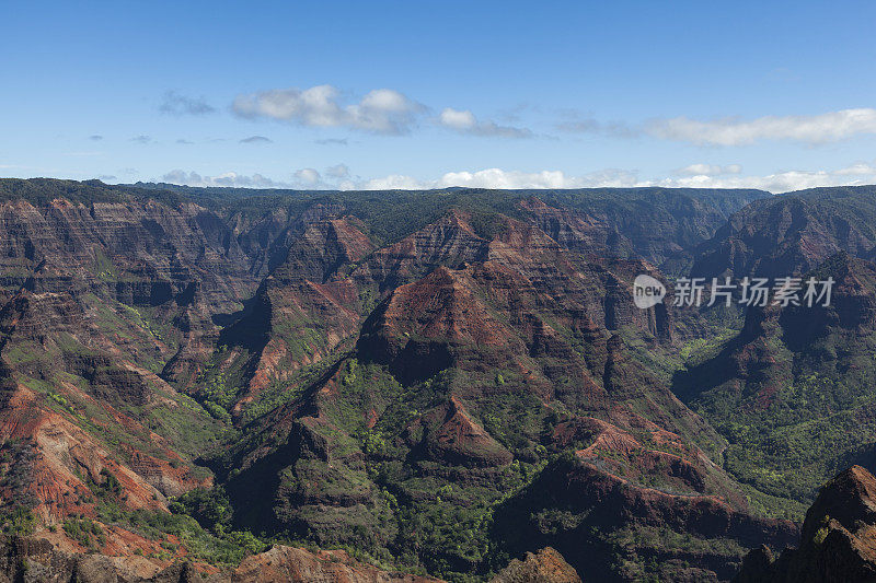 夏威夷考艾岛威美亚峡谷州立公园