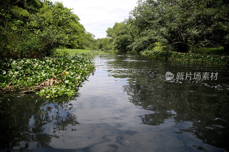 琼恩河的污水