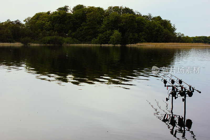 鲤鱼钓竿、鱼线和咬报警装置，设置在一个大的森林湖中捕鱼记录。鲤鱼垂钓者。浅景深。