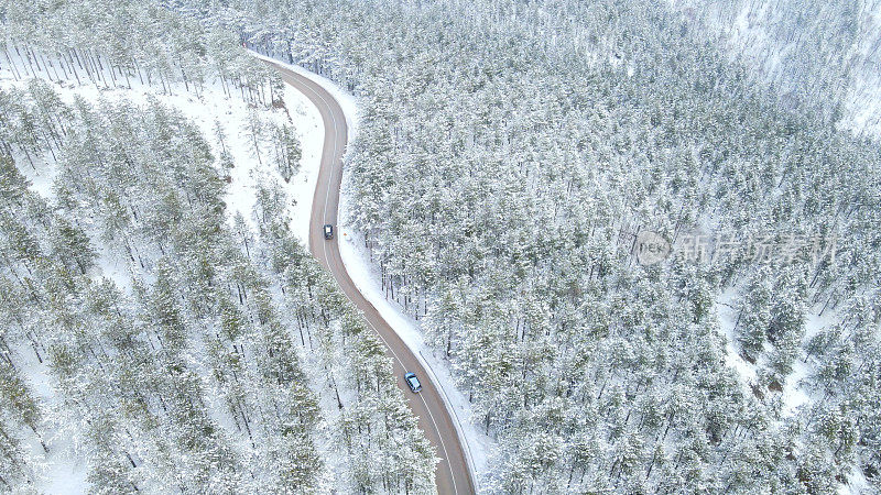 汽车驶过冬季森林