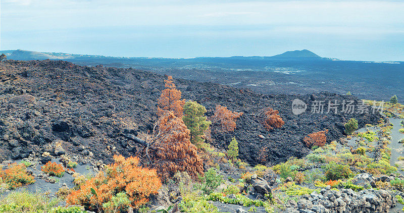 火山正式喷发7个月后，从康伯雷维哈“塔乔盖特火山”流出的熔岩