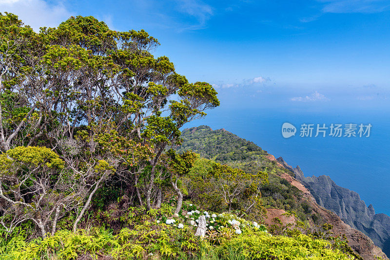 夏威夷考艾岛的海岸线