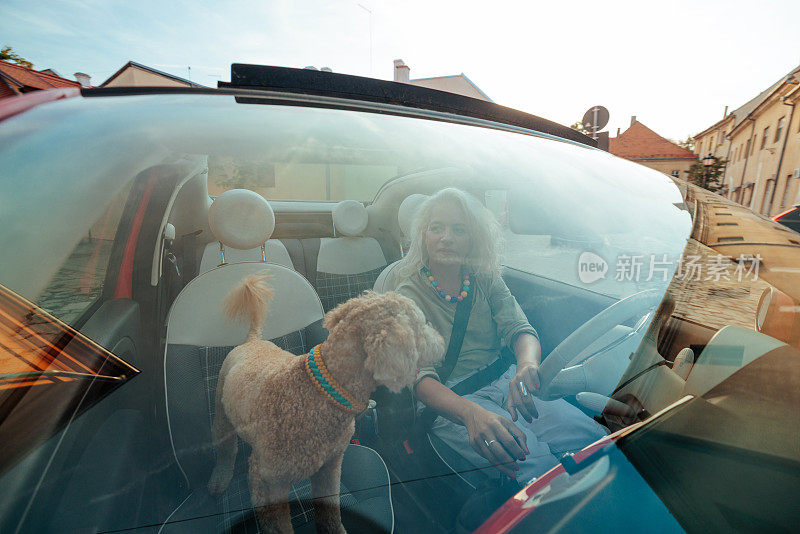 女人和狗一起在车里。