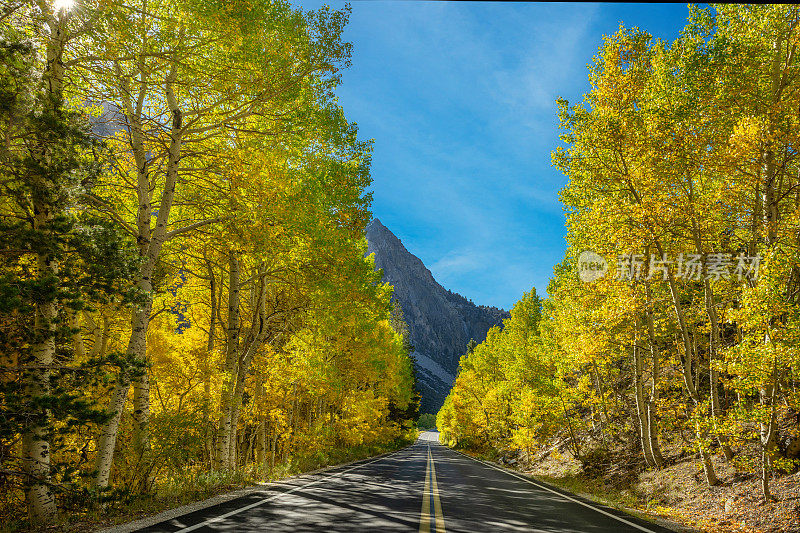 秋天的道路通过秋天的颜色猛犸，CA