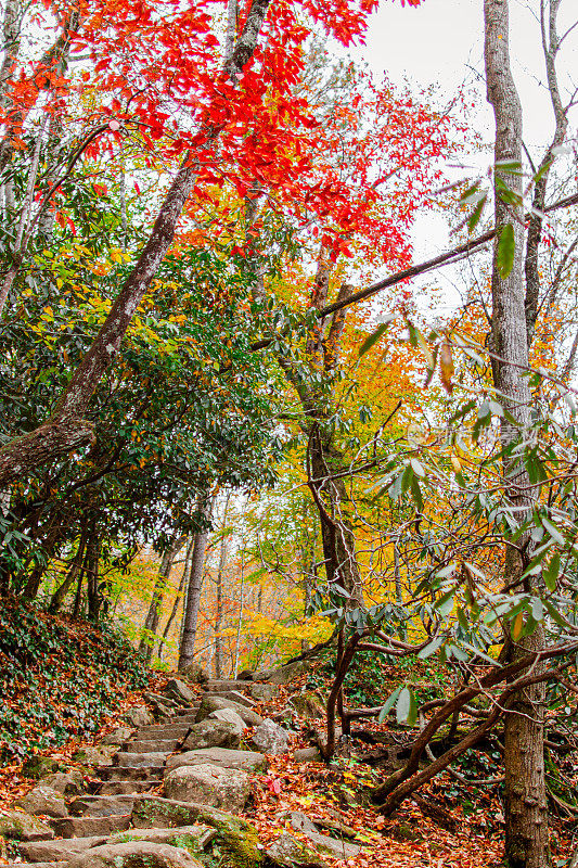 2022年秋天，田纳西州的岩石台阶上有五颜六色的秋叶、树木和山脉