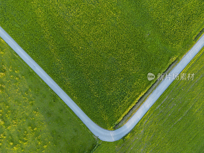 乡村道路的鸟瞰图