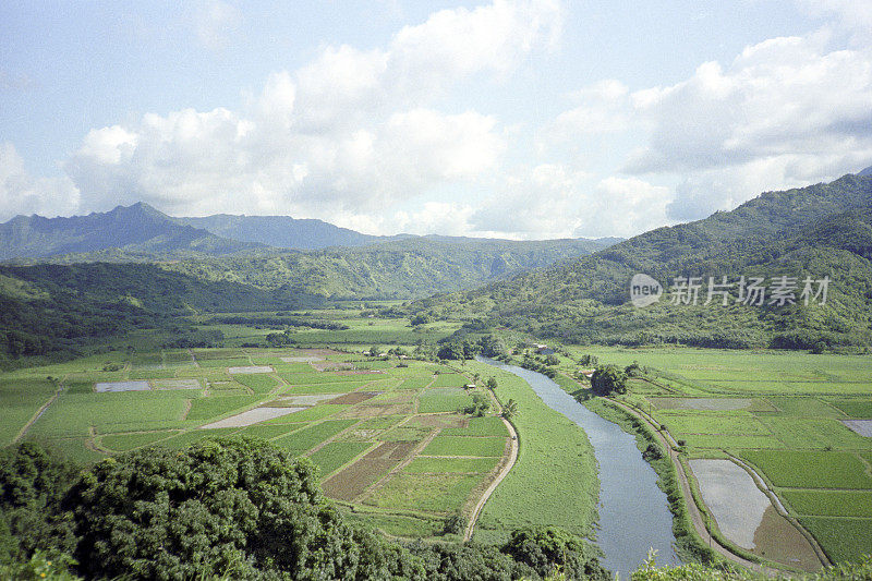 夏威夷乡村土地