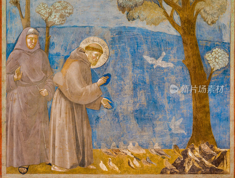 乔托的圣方济各在阿西西中心的圣方济各大教堂对鸟讲话的壁画
