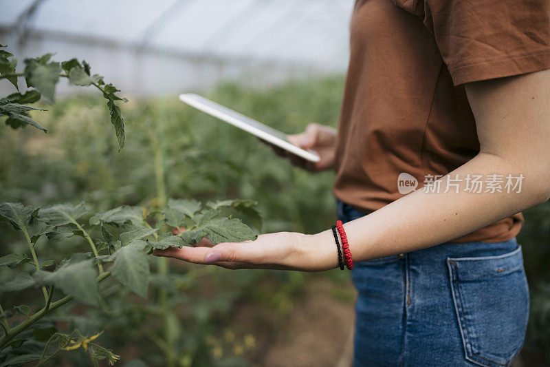 在园艺中心检查植物生长的年轻女子