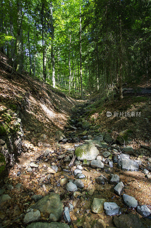 小峡谷和小溪，生物圈保护区Rhön，德国