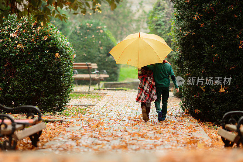 下雨天，孩子们撑着黄色雨伞走在公园小路上的后视图