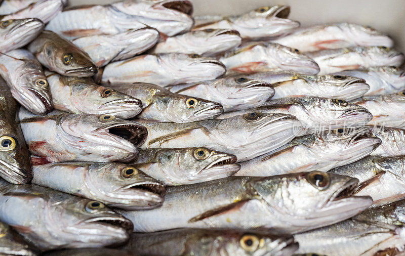 典型的地中海渔业:渔船上的鱼箱