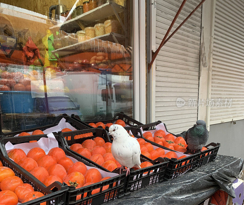 城市里的鸽子在托盘上放着市场上的货物。