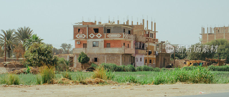 位于埃及卢克索东侧的乡村房屋