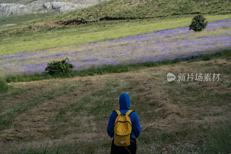 成熟女人在大自然中徒步旅行的照片