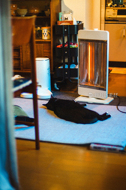 加热器和猫。