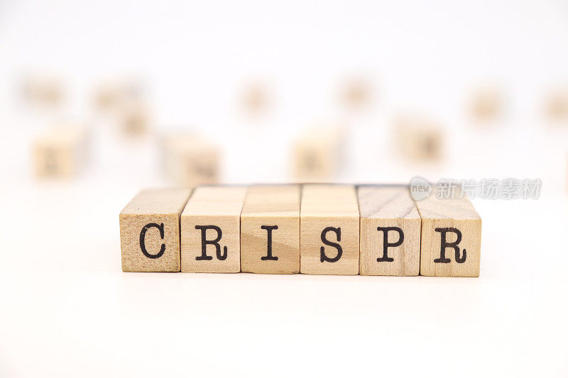 CRISPR(聚集规律间隔短回文重复序列)基因编辑概念