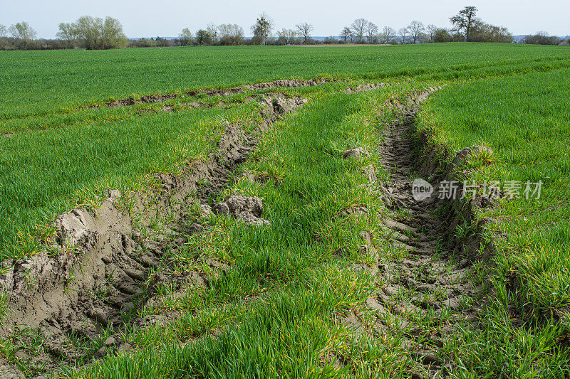 梅克伦堡-前波莫瑞州某农田的深井轨迹，土壤侵蚀，农业土壤破坏