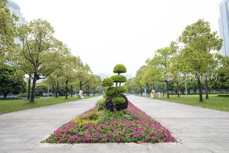 春天公园绿树成荫，步道林立