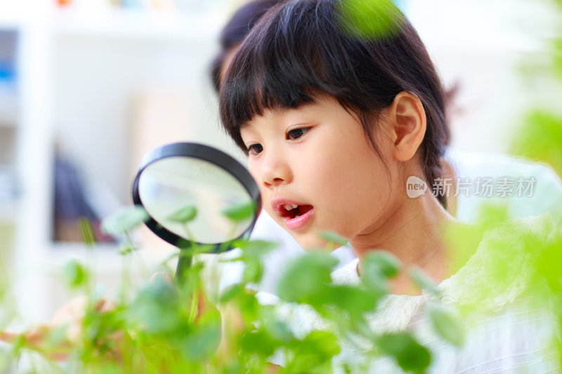 小女孩用放大镜看植物