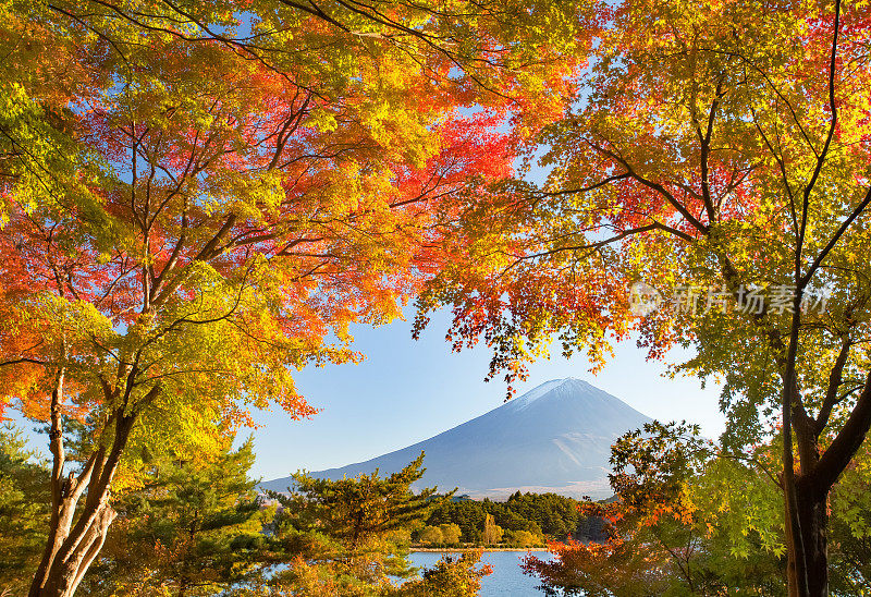 山富士