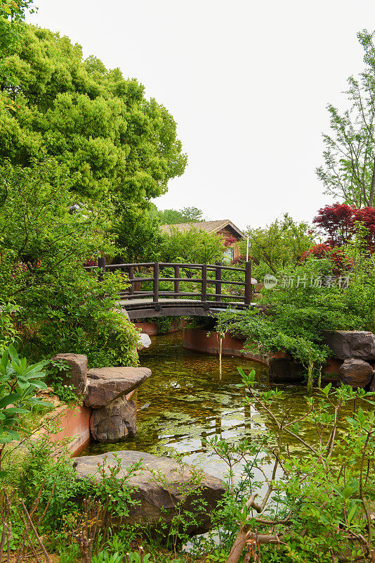 美丽的中国花园，绿树环绕着一个池塘和一座木制拱桥。