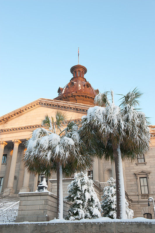 南卡罗来纳州议会大厦的棕榈树上覆盖着积雪