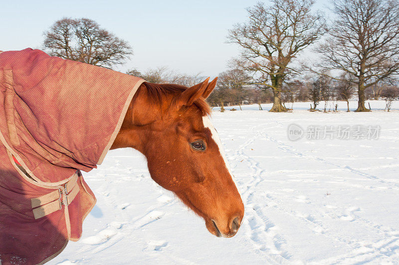 雪穿。