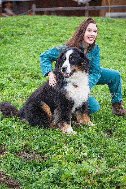 伯恩斯山地犬和年轻女人在农场