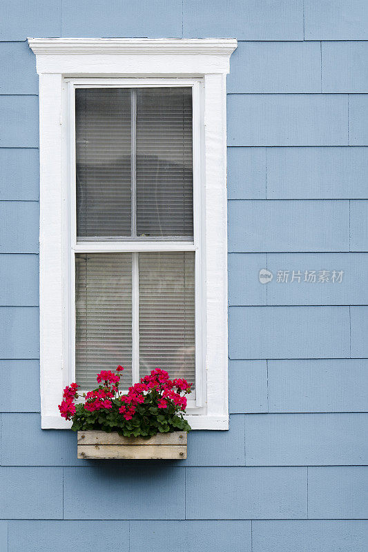 历史悠久的青瓦台上的窗台上的红色天竺葵