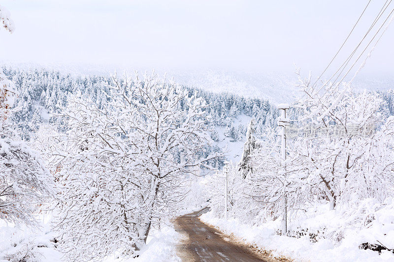 雪路