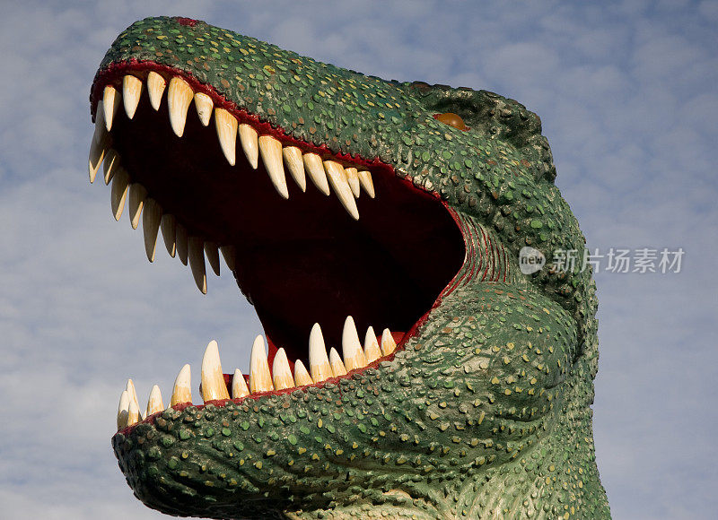 锋利的牙齿-霸王龙(兽脚亚目)恐龙