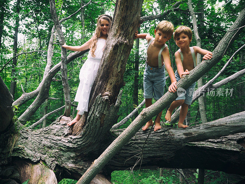 孩子们探索森林