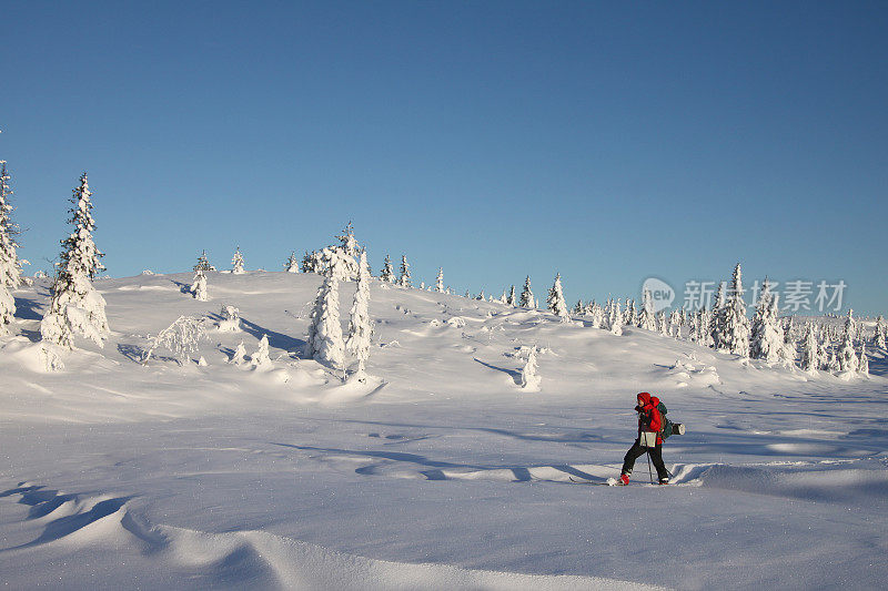 在深雪中越野滑雪