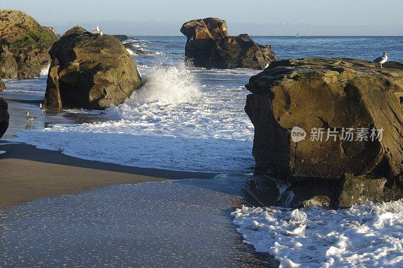 沿着加利福尼亚海岸露出地面的岩石