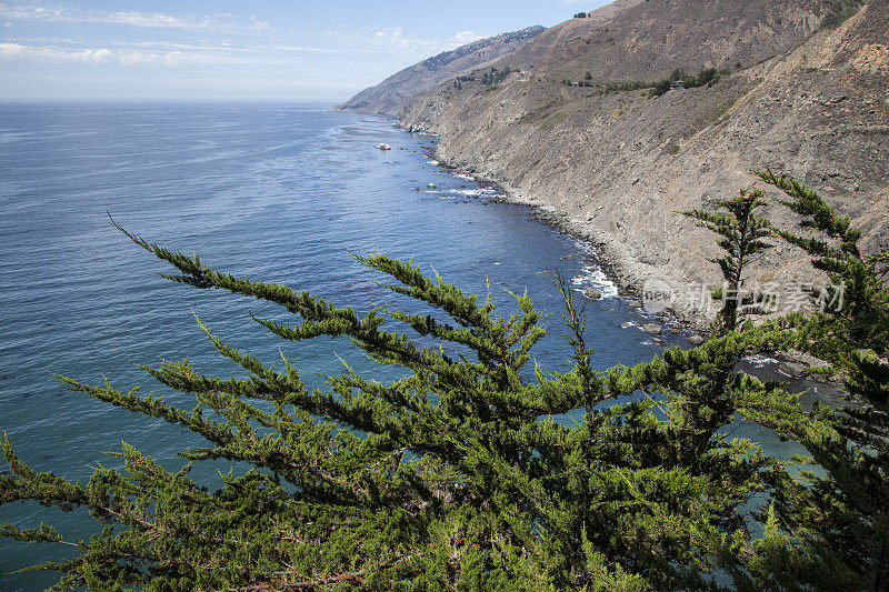在加州大苏尔俯瞰大海的悬崖