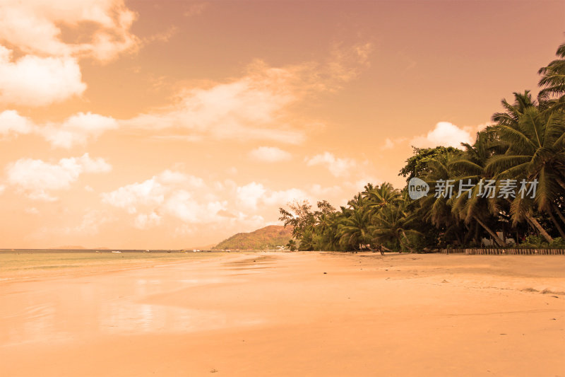 塞舌尔日落时的热带海滩和棕榈树