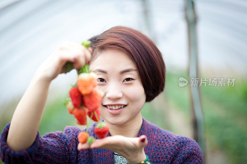 亚洲女人在草莓温室