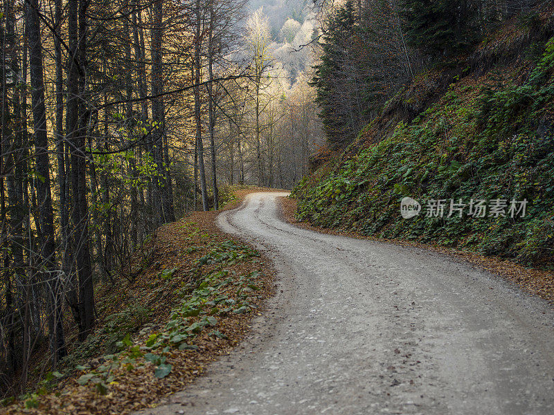 秋天的山路