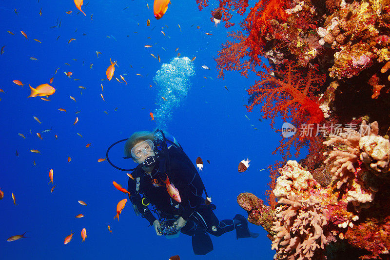 潜水者正在探索和享受珊瑚礁海洋生命运动女性水下摄影师