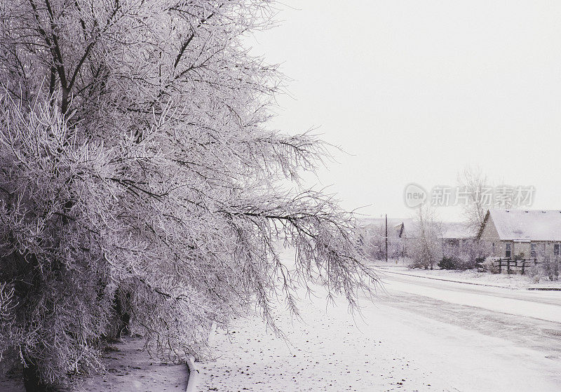 大雪期间科罗拉多州的居民区